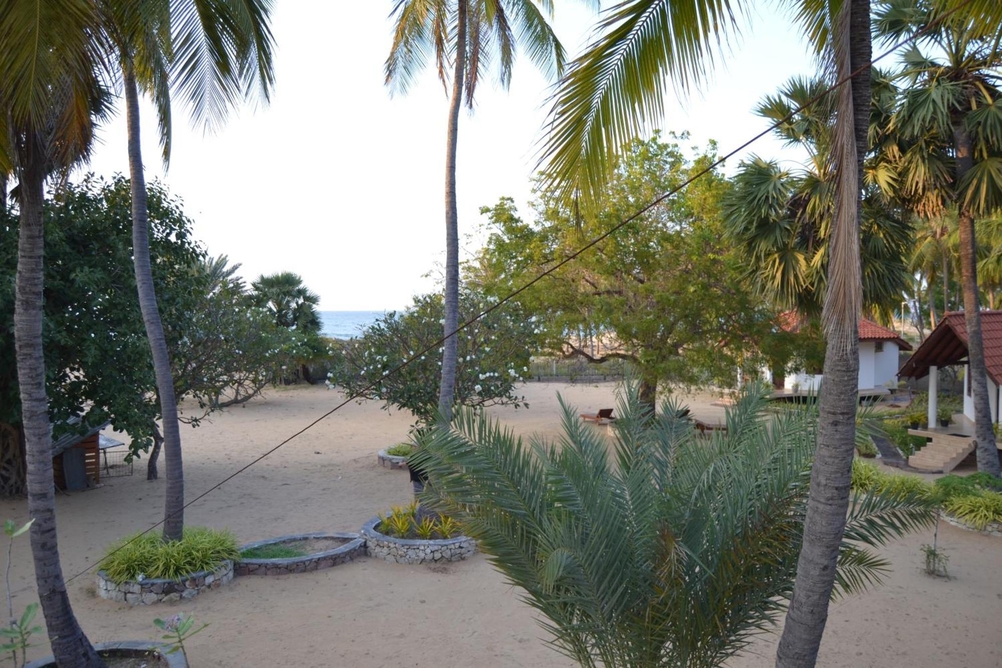 Nirukthie Beach Resort & Restaurant Kalpitiya Εξωτερικό φωτογραφία